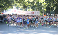Start20kHalf_0004