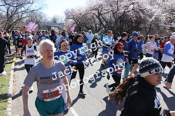Start_0050