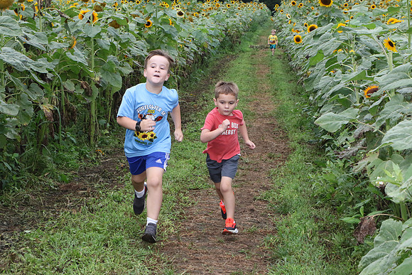 FunRun_0028