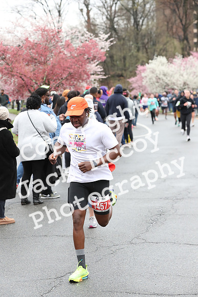 Finish_0313