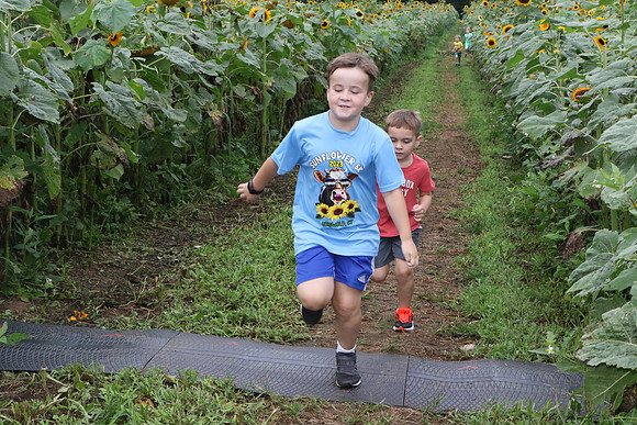 FunRun_0029