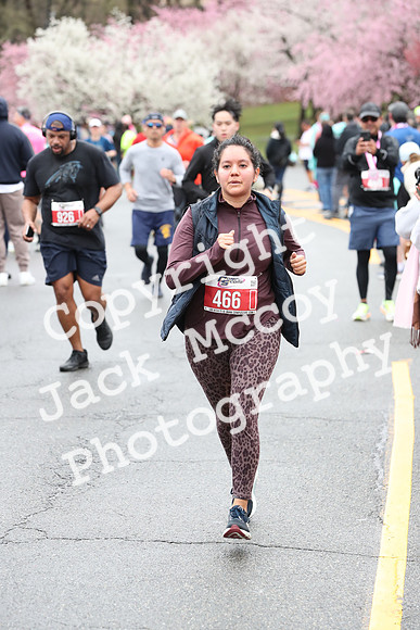 Finish_1115