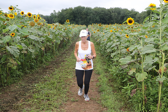 Finish_0353