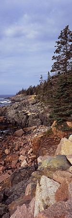 Acadia National Park, ME