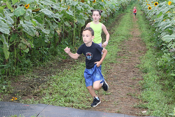 FunRun_0026