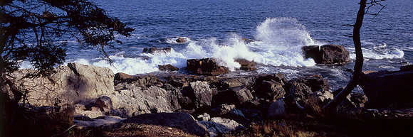 Acadia National Park, ME