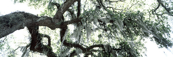 Charleston, SC