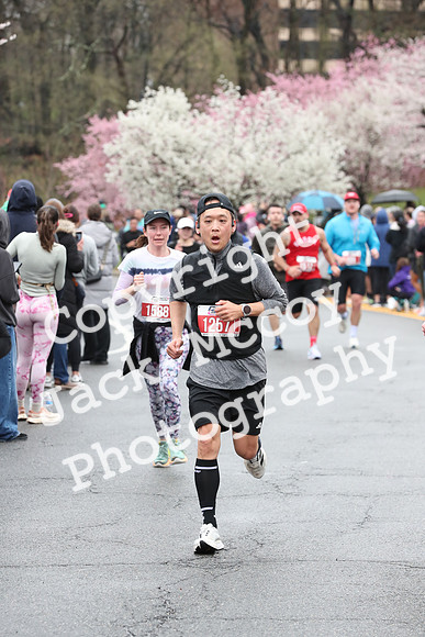 Finish_0382