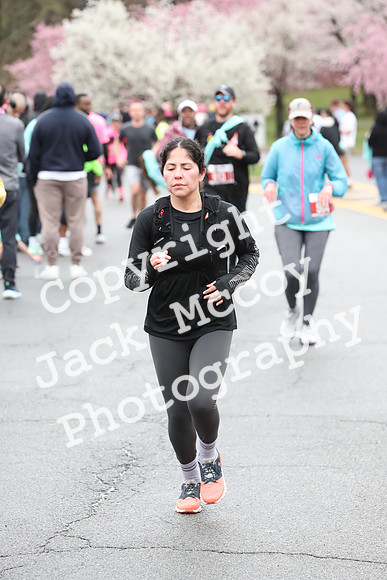 Finish_1181
